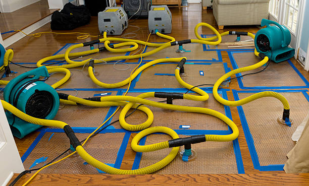 Professional Sewage Cleanup technician working in Endicott, WA